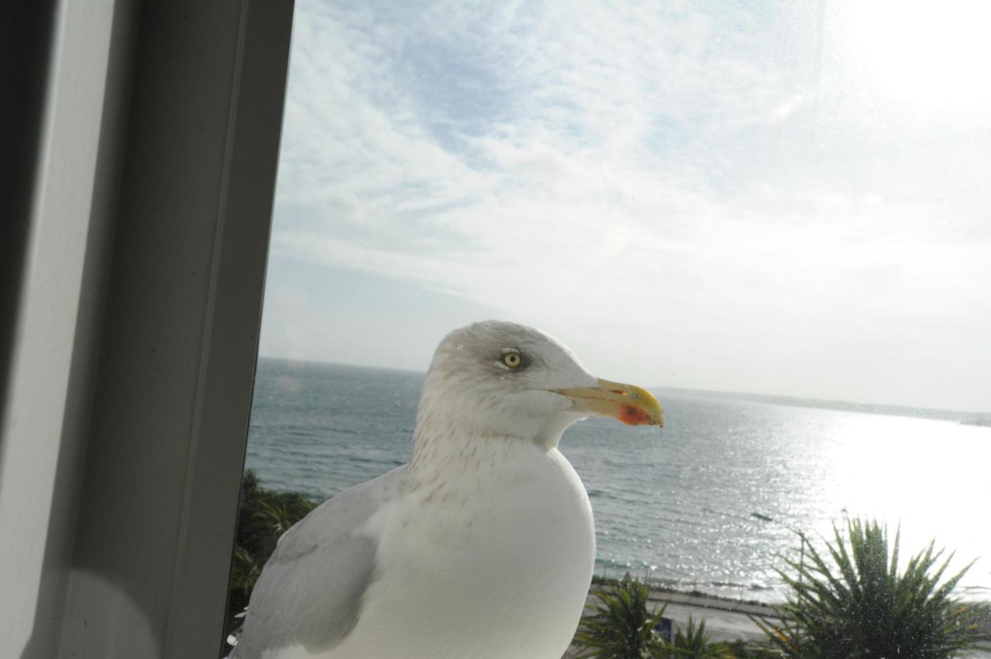 Anacapri 5* Falmouth